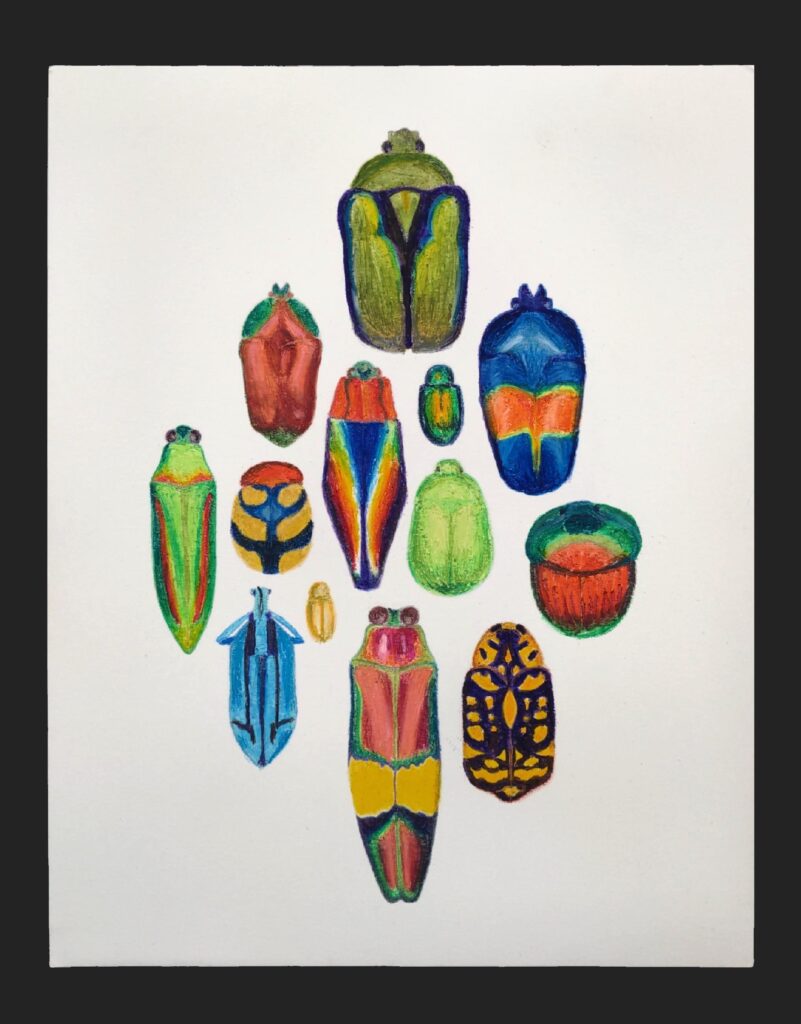 2021 Fall “Beetle Series” Oil Pastels on Paper
