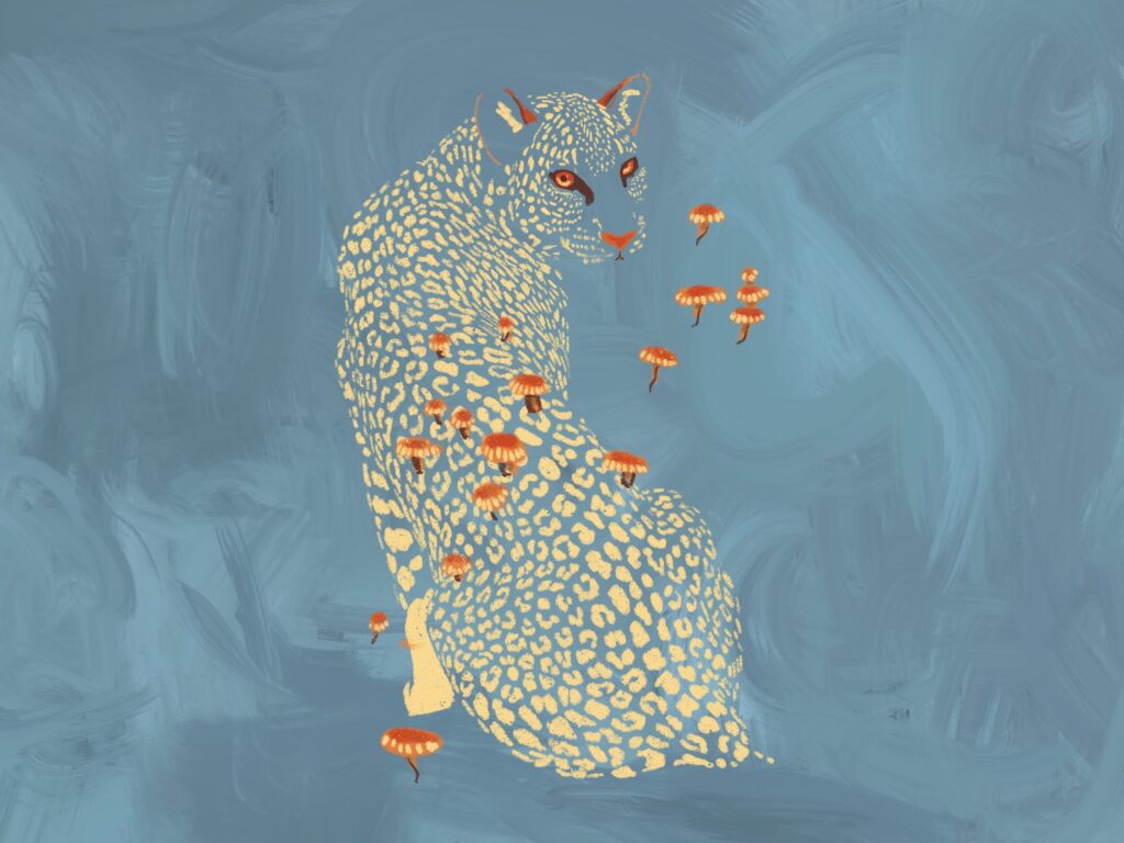 2021/11 “Spots” Procreate