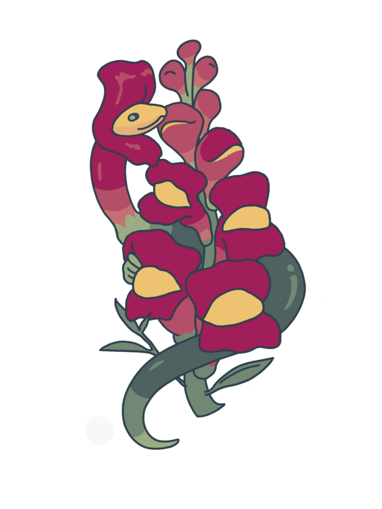 2023 Fall (Dark Snapdragon) Adobe Illustrator + Procreate