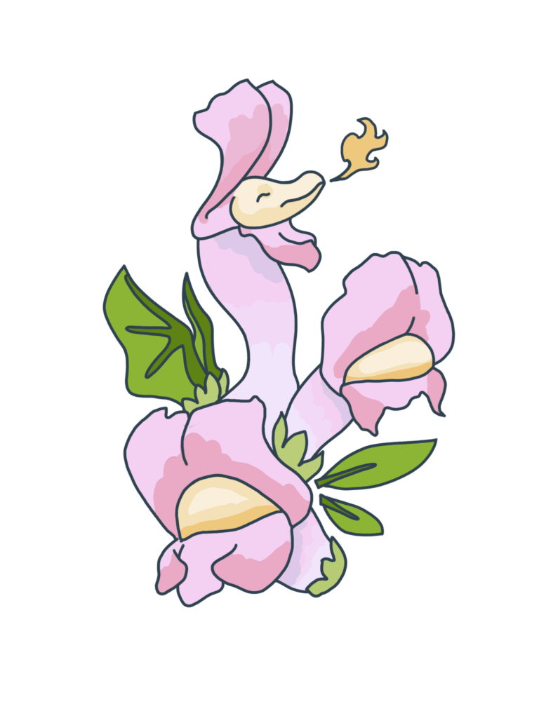 2023 Fall (Fire Breathing Snapdragon No Background ) Adobe Illustrator + Procreate