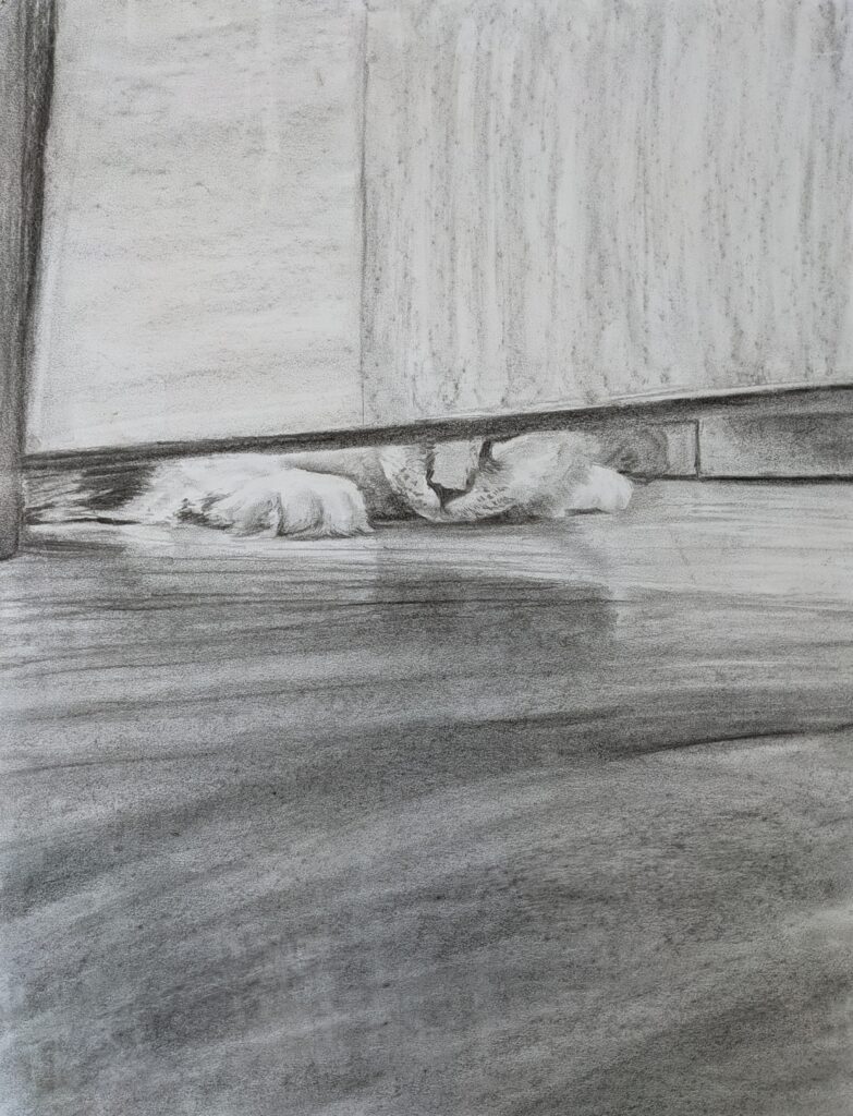 2023 Spring “Hunted” Vine Charcoal on Paper