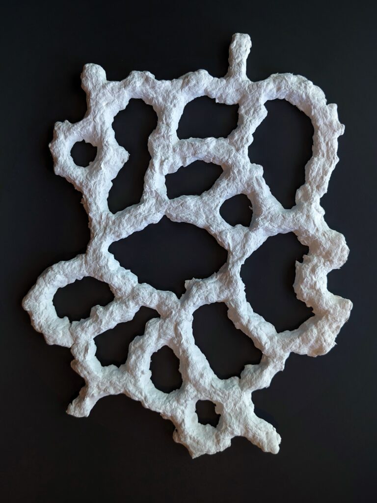 2025 “Net” Paper, Glue, & Gouache