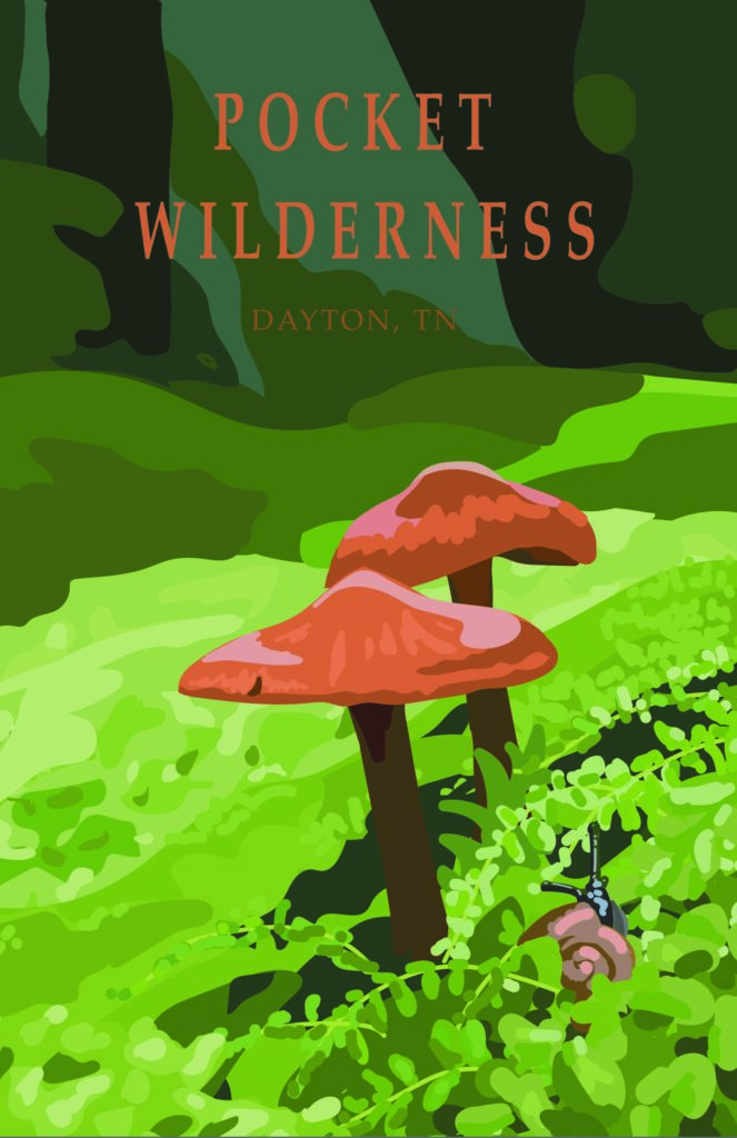 2023 Fall “Pocket Wilderness Poster” Adobe Illustrator