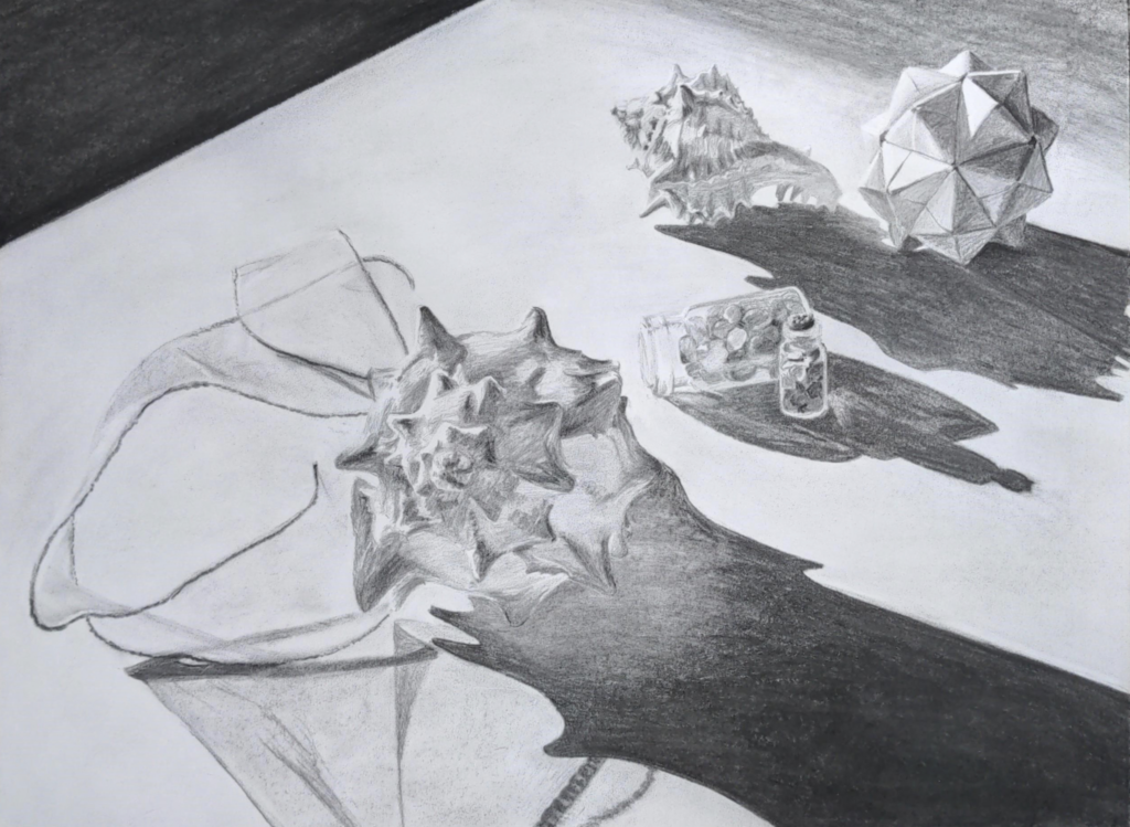 2021 Fall “Still Life With Shells” Charcoal on Paper